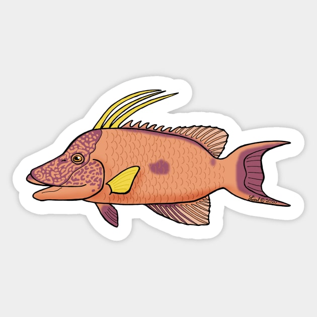 Hogfish Sticker by HonuHoney